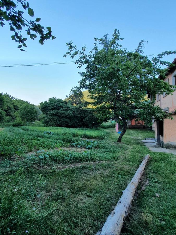B&B Calecatine Rocca di Botte エクステリア 写真